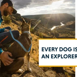 Ruffwear Hi & Light Dog Collar