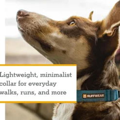 Ruffwear Hi & Light Dog Collar