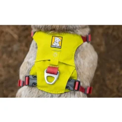 Ruffwear Hi & Light Dog Harness