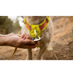 Ruffwear Hi & Light Dog Harness