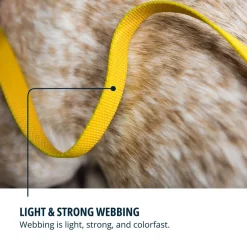 Ruffwear Hi & Light Dog Leash