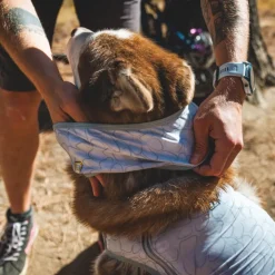 Ruffwear Swamp Cooler Cooling Neck Gaiter for Dogs