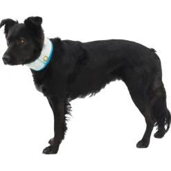 Ruffwear Swamp Cooler Cooling Neck Gaiter for Dogs