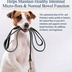 Rx Biotic Powder Digestive Supplement for Cats & Dogs