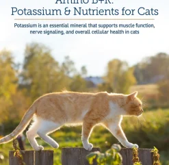 Rx Vitamins Amino B+K Kidney Support for Cats (4 oz)