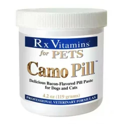 Rx Vitamins Camo Pill Bacon-Flavored Pill Paste for Dogs & Cats (4.2 oz)