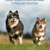 Rx Vitamins Formula CV For Dogs and Cats (90 caps)