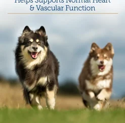 Rx Vitamins Formula CV For Dogs and Cats (90 caps)
