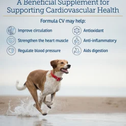 Rx Vitamins Formula CV For Dogs and Cats (90 caps)