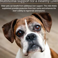 Rx Vitamins Hepato Liquid Liver Supplement for Dogs & Cat -Chicken Flavor (4 oz)