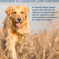 Rx Vitamins Hepato Liquid Liver Supplement for Dogs & Cat -Chicken Flavor (4 oz)