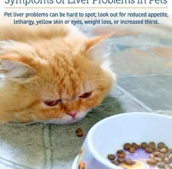Rx Vitamins Hepato Liquid Liver Supplement for Dogs & Cat -Chicken Flavor (4 oz)
