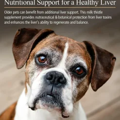 Rx Vitamins Hepato Support Liver Supplement