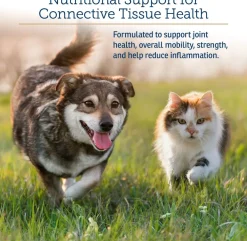 Rx Vitamins NutriFlex Joint Supplement for Dogs & Cats (90 chewtabs)