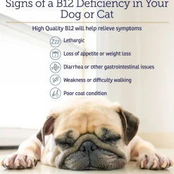 Rx Vitamins Rx B12 Liquid Digestive Supplement For Dogs and Cats (4 oz)