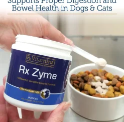 Rx Zyme Digestive Enzyme Powder (4.2 oz)