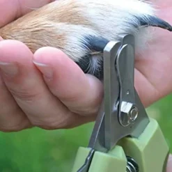 Safari Professional Nail Trimmer for Dogs