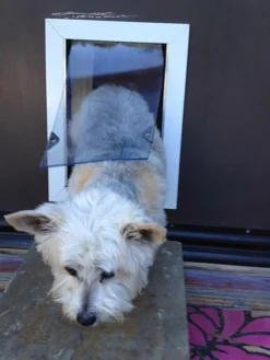 SB Standard Wall Mount Pet Dog Door