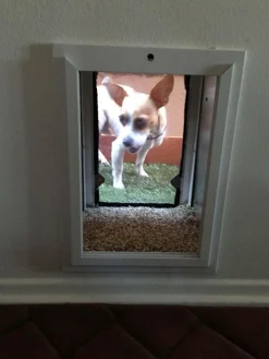 SB Standard Wall Mount Pet Dog Door