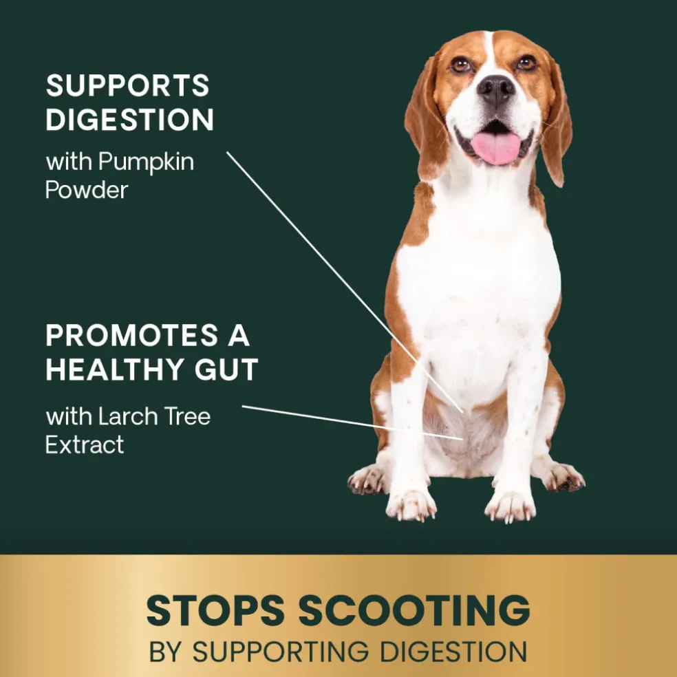 Scoot Control Sticks for Dogs
