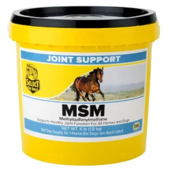 Select the Best MSM Joint Support for Horses