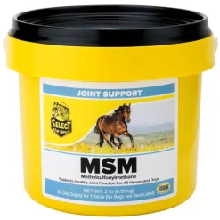 Select the Best MSM Joint Support for Horses