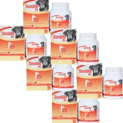 Senilife XL for Elderly Dogs