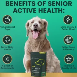 Senior 27+ Active Health Chews for Dogs