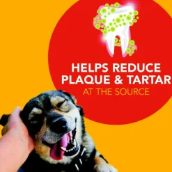Sentry Petrodex Advanced Enzymatic Poultry Flavored Dental Kit for Dogs