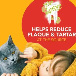 Sentry Petrodex Advanced Enzymatic Malt Flavored Dental Kit for Cats
