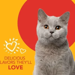 Sentry Petrodex Advanced Enzymatic Malt Flavored Dental Kit for Cats
