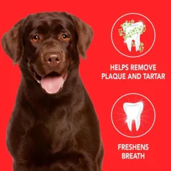 Sentry Petrodex Advanced Enzymatic Poultry Flavored Toothpaste for Dogs