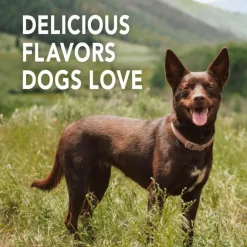 Sentry Petrodex Advanced Enzymatic Poultry Flavored Toothpaste for Dogs