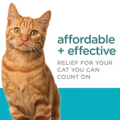 Sergeant's Guardian Topical for Cats 6 lbs and over, 3-month supply