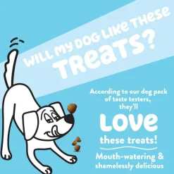 Shameless Pets Apple Cider Donut Soft Baked Treats For Dogs (6 oz)