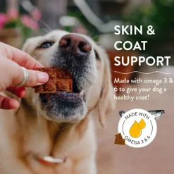 Shameless Pets Berry Had a Little Lamb Jerky Bites Treats For Dogs (4.5 oz)