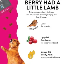 Shameless Pets Berry Had a Little Lamb Jerky Bites Treats For Dogs (4.5 oz)