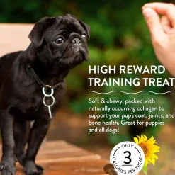Shameless Pets Bone Broth Chews Bacon Hits Different Training Treats For Dogs (8 oz)