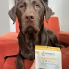 Shameless Pets Break An Egg Soft Baked Treats For Dogs (6 oz)