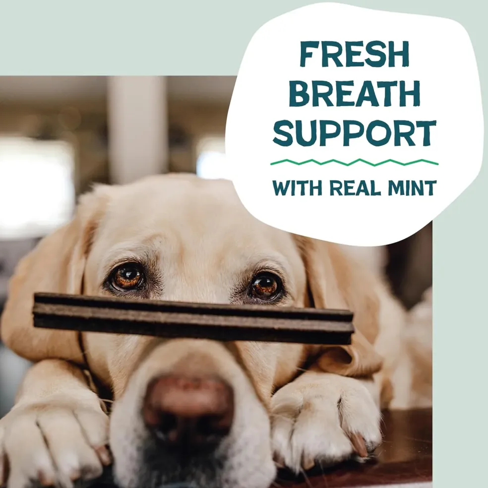 Shameless Pets Carrate Chomp Dental Sticks Treats For Dogs (7.2 oz)