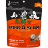 Shameless Pets Catnip Is My Boo Crunchy Treats For Cats (4 oz)