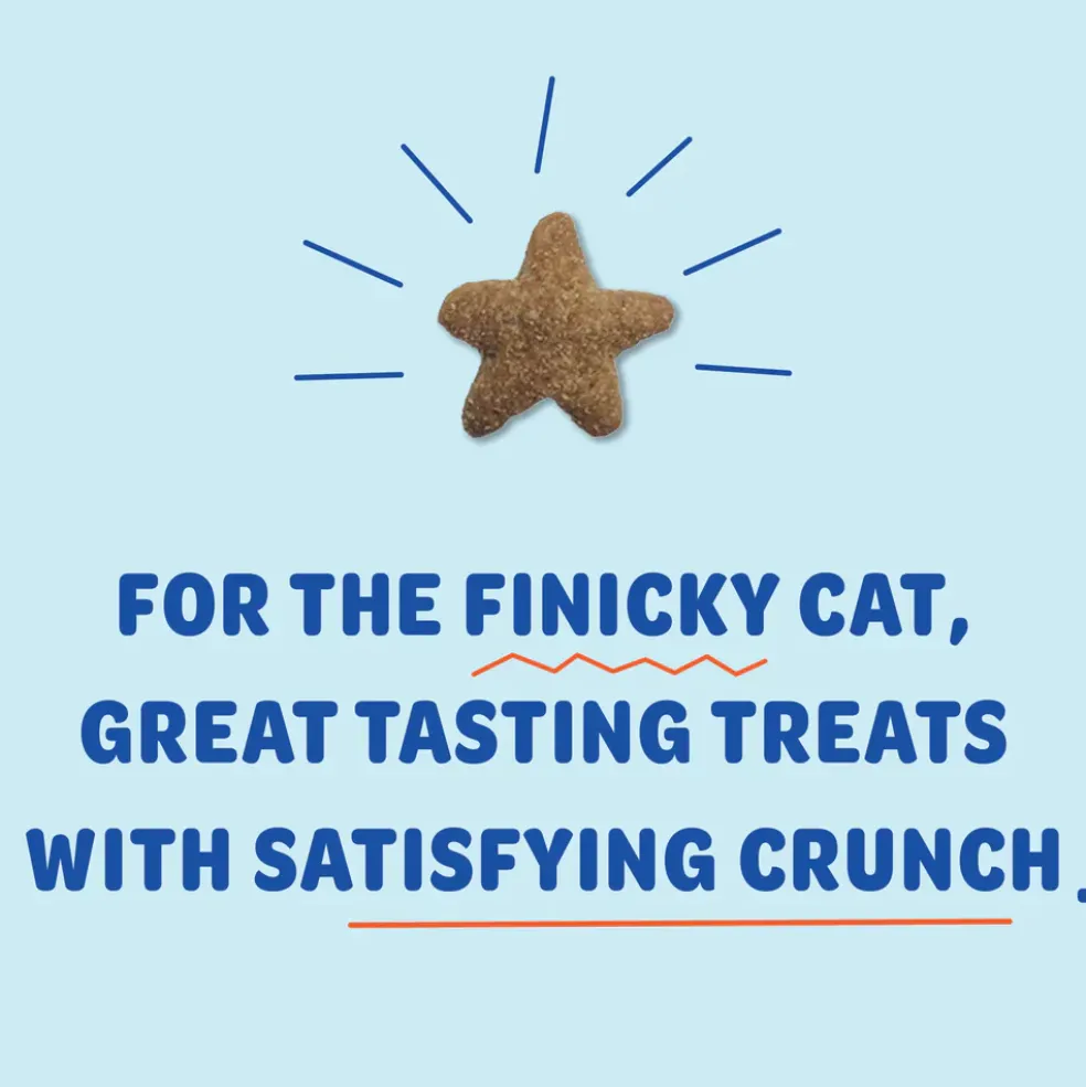 Shameless Pets Catnip Is My Boo Crunchy Treats For Cats (4 oz)
