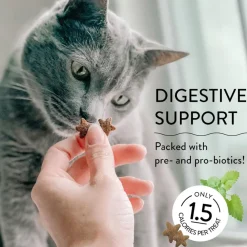 Shameless Pets Catnip N Chill Crunchy Treats for Cats (2.5 oz)