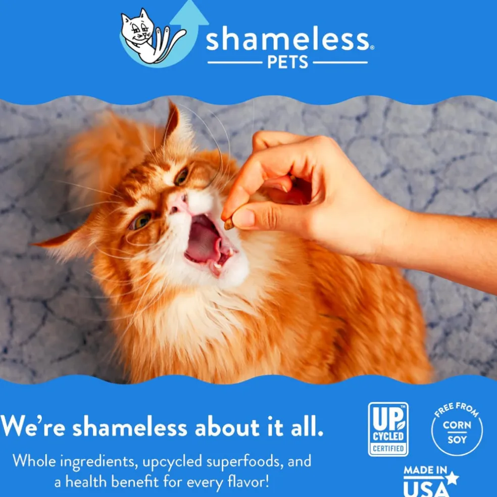 Shameless Pets Crunchy Treats Catnip N Chill, Tuna & Catnip Recipe For Cats (2.5 oz)