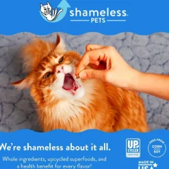 Shameless Pets For the Most Dapper of Feline Celebrations Crunchy Treats For Cats (2.5 oz)