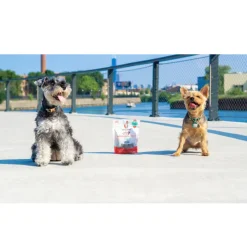 Shameless Pets Moo Lobsta Jerky Bites Treats For Dogs (5 oz)