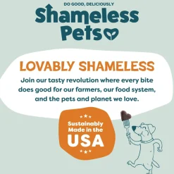 Shameless Pets Pumpkin Nut Partay Soft Baked Treats For Dogs (6 oz)