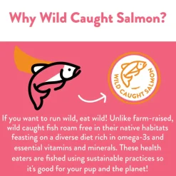 Shameless Pets Salmon Loves Butternut Jerky Bites Dog Treats (5 oz)