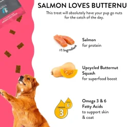 Shameless Pets Salmon Loves Butternut Jerky Bites Dog Treats (5 oz)