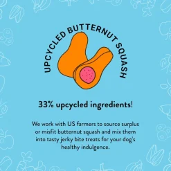 Shameless Pets Salmon Loves Butternut Jerky Bites Dog Treats (5 oz)